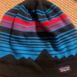 Patagonia Winter Hat